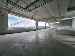 Ct Foodnex (D25), Factory #573563501
